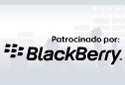 Black Berry flash cobranded banners